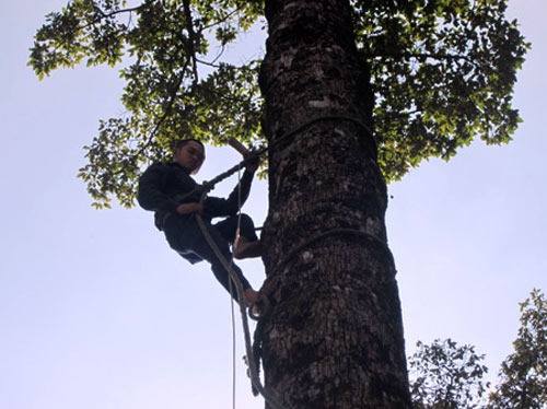 Mưu sinh giữa lưng chừng trời ngày cuối năm - 2