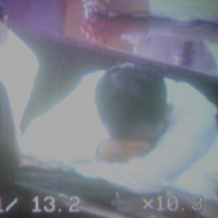 Pháp luật - Nhiều điều "bất ngờ" tại phiên xử Huyền Như