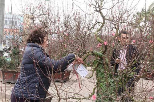 Năm Ngọ, đào Nhật Tân dáng cổ "lên ngôi" - 10