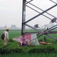 Tin tức trong ngày - Ngành điện sợ... thú chơi thả diều