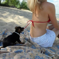 Cười 24h - Chùm ảnh về những chú cún tinh nghịch