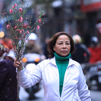 Tin tức trong ngày - Chùm ảnh: Đào khoe sắc thắm đón Rằm tháng Chạp