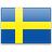 SWE Flag
