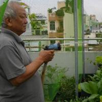 Thị trường - Tiêu dùng - Thuê "kỹ sư osin" chăm sóc rau sạch tại gia