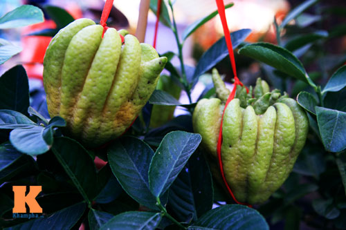 Phật thủ Tây Thiên óng vàng xuống Hà Nội đón Tết - 14