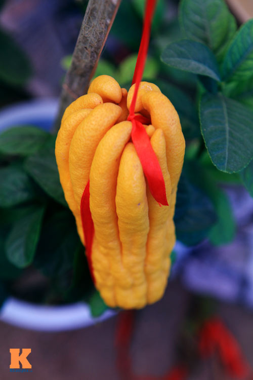 Phật thủ Tây Thiên óng vàng xuống Hà Nội đón Tết - 8