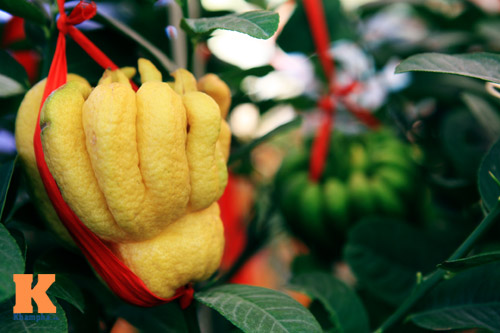 Phật thủ Tây Thiên óng vàng xuống Hà Nội đón Tết - 13