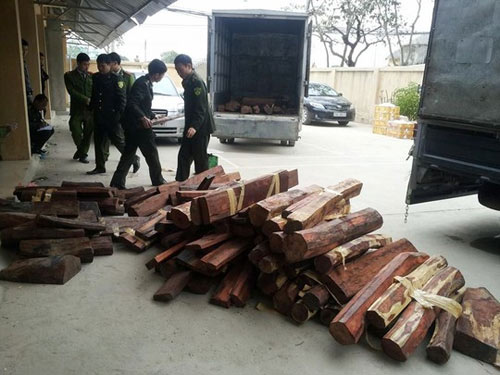 Hơn 1,5 tấn gỗ quý “cưỡi” máy bay từ TPHCM ra HN - 1