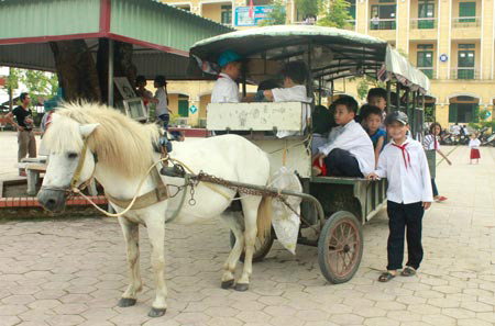 Xe ngựa, xe tự chế ngang nhiên đưa trẻ đến trường - 1