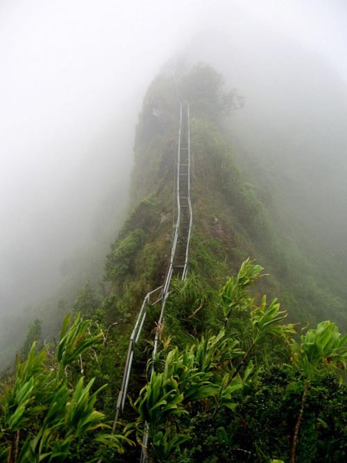 Ấn tượng "Nấc thang lên thiên đường" ở Hawaii - 8