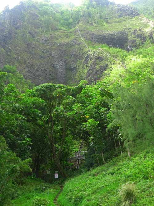 Ấn tượng "Nấc thang lên thiên đường" ở Hawaii - 11