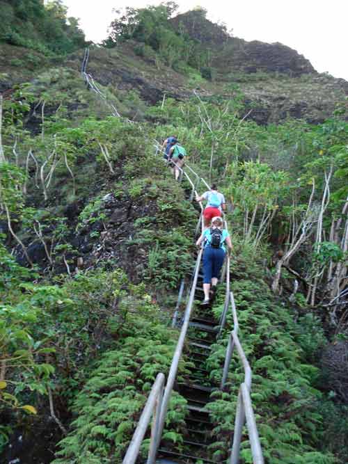 Ấn tượng "Nấc thang lên thiên đường" ở Hawaii - 12