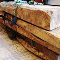 Tin tức trong ngày - Rộ tin đồn trúng gỗ sưa hàng chục tỷ đồng