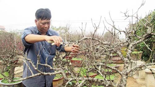 Săn lùng hàng độc ăn chơi Tết - 2