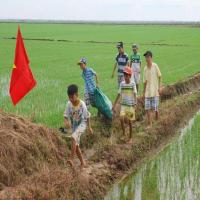 Giáo dục - du học - Kế hoạch nhỏ: Từ ủ phân xanh đến... nuôi gà