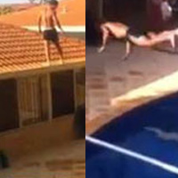 Video: Màn phi thân mạo hiểm từ mái nhà