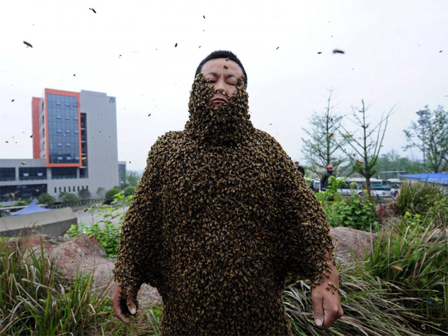 She Ping đã để cho khoảng 331.000 con ong vây quanh cơ thể vào tháng 4/2012.
