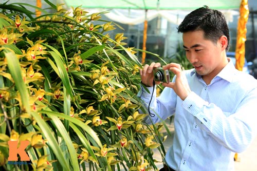 Địa lan Sapa giá khủng đón Tết - 4