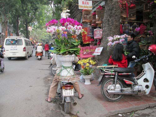 Dân HN đổ xô sắm tết, siêu thị "cháy" bia - 9