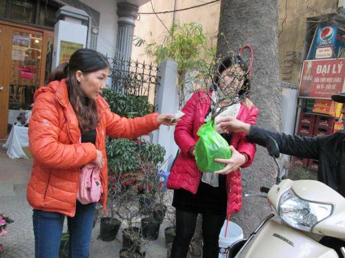 Dân HN đổ xô sắm tết, siêu thị "cháy" bia - 11