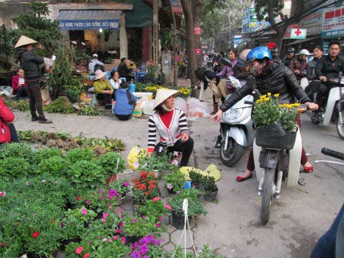 Dân HN đổ xô sắm tết, siêu thị "cháy" bia - 12