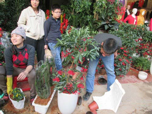 Dân HN đổ xô sắm tết, siêu thị "cháy" bia - 13