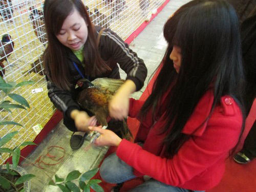 Dân HN đổ xô sắm tết, siêu thị "cháy" bia - 6