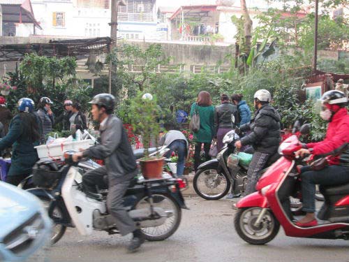 Dân HN đổ xô sắm tết, siêu thị "cháy" bia - 8