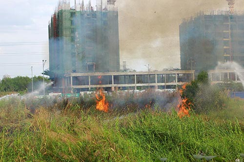 Đốt cỏ gây cháy gần khu biệt thự, dân hoảng loạn - 6