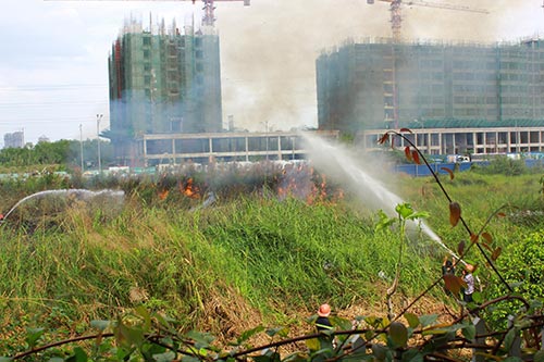 Đốt cỏ gây cháy gần khu biệt thự, dân hoảng loạn - 7