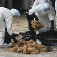 Tin tức trong ngày - Ca tử vong đầu tiên do cúm A/H5N1 trong năm