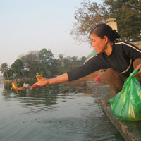 Tin tức trong ngày - HN: Thả cá chép sớm vì sợ ông Táo… "tắc đường"