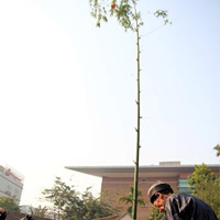 Tin tức trong ngày - Dựng cây nêu khẳng định chủ quyền