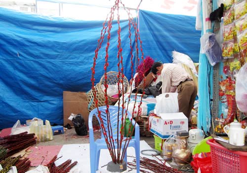 Độc đáo hội chợ hoa khô - 2