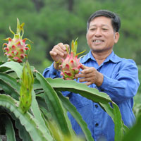 Thị trường - Tiêu dùng - Nông sản vẫn cần xuất khẩu tiểu ngạch