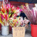 Thị trường - Tiêu dùng - Độc đáo hội chợ hoa khô