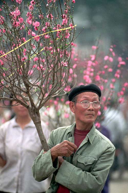 Chợ hoa Tết Hàng Lược xưa và nay - 4