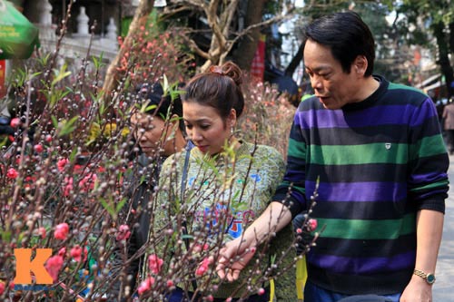 Chợ hoa Tết Hàng Lược xưa và nay - 7