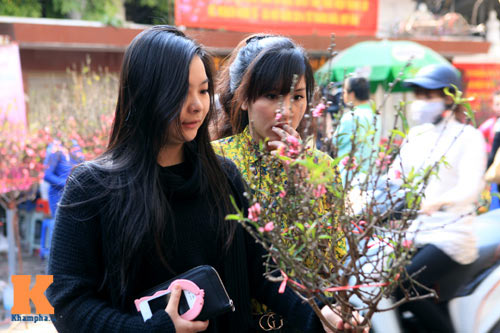 Chợ hoa Tết Hàng Lược xưa và nay - 10