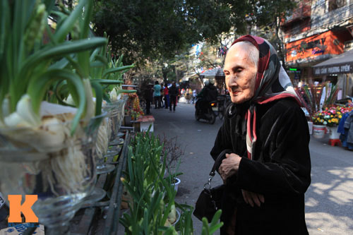 Chợ hoa Tết Hàng Lược xưa và nay - 13