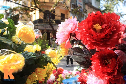 Chợ hoa Tết Hàng Lược xưa và nay - 2