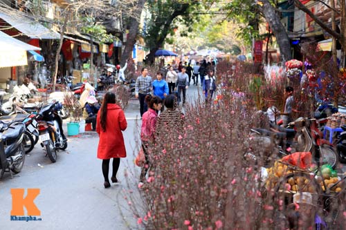 Chợ hoa Tết Hàng Lược xưa và nay - 4