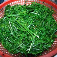 Ẩm thực - Nhớ rau rừng quê tôi