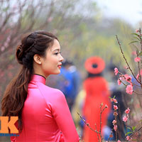 Tin tức trong ngày - Thời tiết tốt cả trên biển và trên đất liền