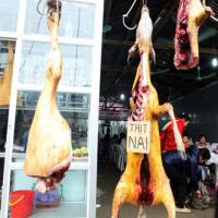 Tin tức trong ngày - Treo móc động vật ở chùa Hương phải... trang trí