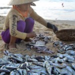 Tin tức trong ngày - Ăn cá nóc, nguyên chủ tịch UBND phường tử vong