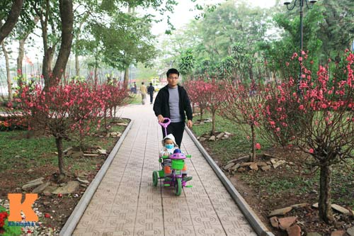 Hà Nội trang hoàng đón Tết Nguyên đán 2014 - 10