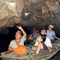 Tin tức trong ngày - Bí ẩn cây si nghìn tuổi ở Tràng An