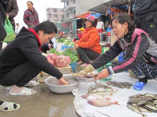 Cái Tết đầu tiên có điện quốc gia ở đảo Cô Tô - 5