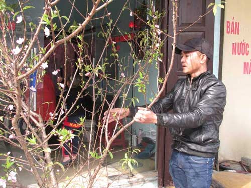 Cái Tết đầu tiên có điện quốc gia ở đảo Cô Tô - 7